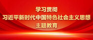 操到你鸡把嫩逼视频学习贯彻习近平新时代中国特色社会主义思想主题教育_fororder_ad-371X160(2)